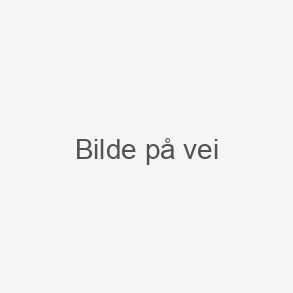 Badekar og Toalettsete