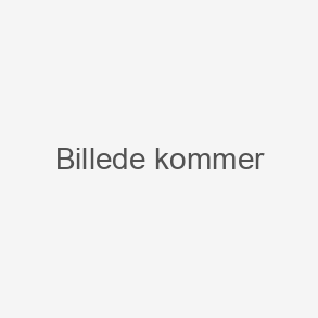 Badekar og toiletsæde