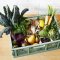 3 Sprouts Modern Folding Crate - Large, Green