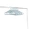 3 Sprouts Hanger in wheat straw (15 pcs.), Blue