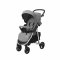Asalvo Pushchair Paris, Grey