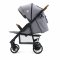 Asalvo Pushchair Ness, Nordic