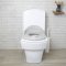 Asalvo 3 In 1 Baby Ladder Toilet