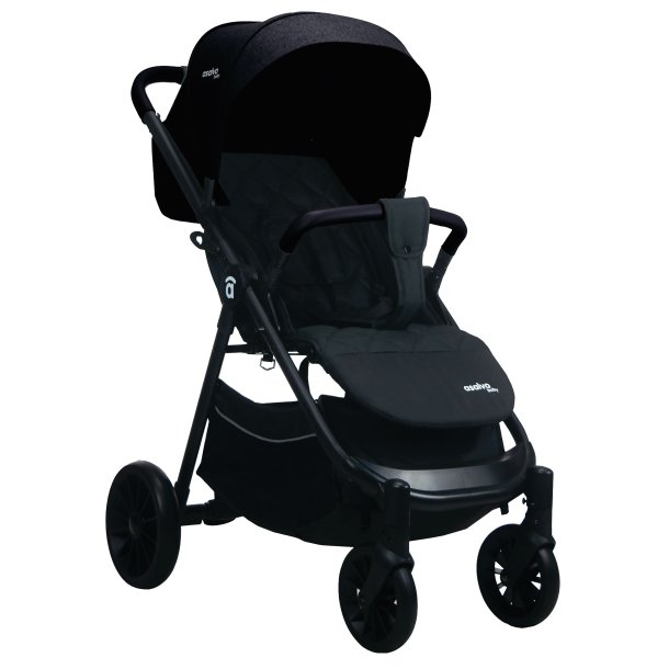 Asalvo Travel System Ecuador, Black