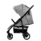 Asalvo Pushchair Ness 2