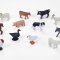 Mojo Animal (12pc) asstd, Farmland