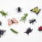 Mojo Insects (12 pieces) assortment, Forest and Wild Animals