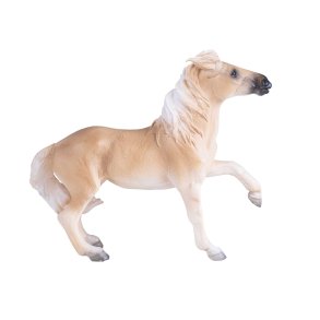 Mojo Brumby Mare
