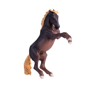 Mojo Brumby Stallion