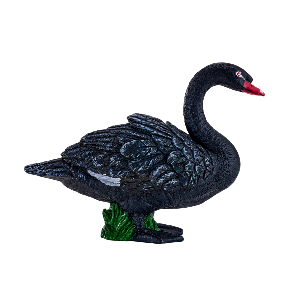 Mojo svart svane