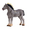 Mojo Gr Mugg Shire Hest