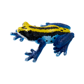 Mojo giftig pilfrosk, bl