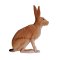 Mojo Hare, Sitting