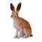 Mojo Hare, Sitting