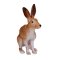 Mojo Hare, Sitting