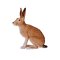 Mojo Hare, Sitting