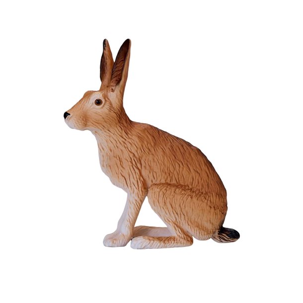 Mojo Hare, Sitting