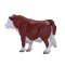 Mojo Hereford tjur