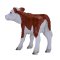 Mojo Hereford kalv