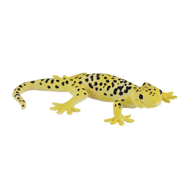 Mojo Leopard Gecko