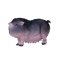 Mojo Belted Pig