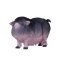 Mojo Belted Pig
