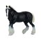 Mojo Clydesdale Horse, Black