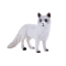 Mojo Arctic Fox