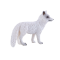 Mojo Arctic Fox