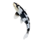 Mojo Koi carp, Black & White