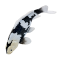 Mojo Koi carp, Black & White