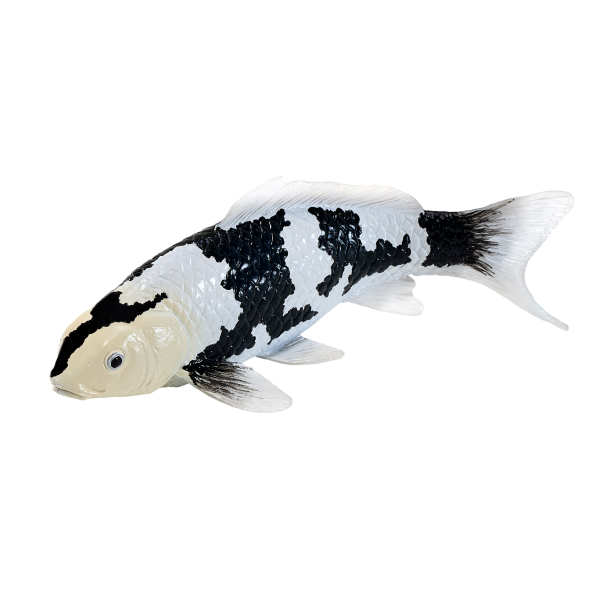 Mojo Koi carp, Black & White