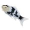 Mojo Koi carp, Black & White