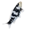 Mojo Koi carp, Black & White