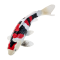 Mojo Koi karpe, Tricolor