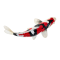 Mojo Koi karpe, Tricolor