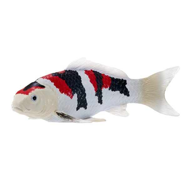 Mojo Koi karpe, Tricolor