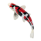Mojo Koi karpe, Tricolor