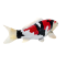 Mojo Koi karpe, Tricolor