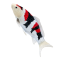 Mojo Koi karpe, Tricolor