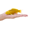 Mojo Koi Carp, Gold