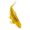 Mojo Koi Carp, Gold