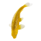 Mojo Koi Carp, Gold