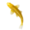 Mojo Koi Carp, Gold