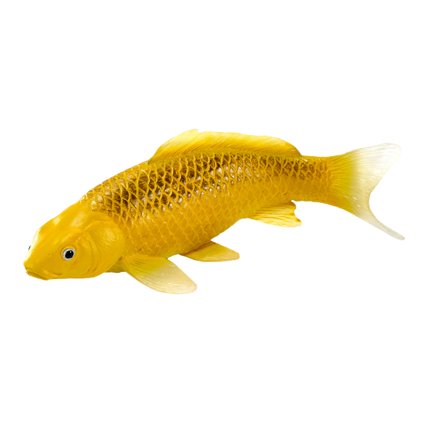 Mojo Koi Carp, Gold