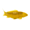 Mojo Koi Carp, Gold
