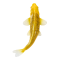 Mojo Koi Carp, Gold