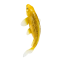 Mojo Koi Carp, Gold