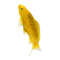 Mojo Koi Carp, Gold