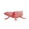 Mojo Axolotl Tail Toad